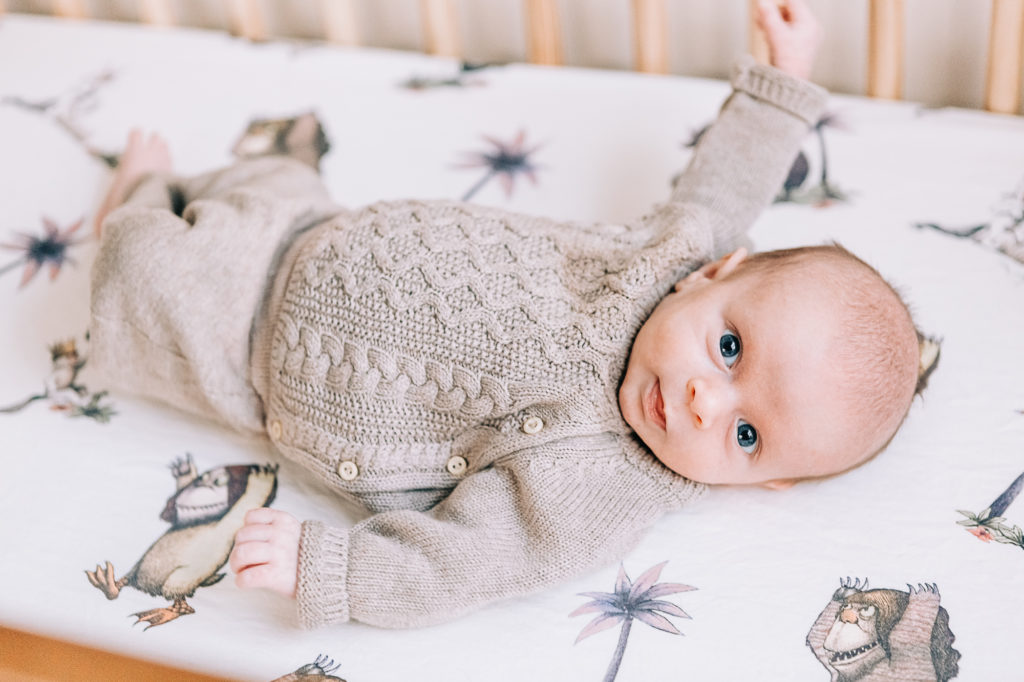 Newborn portrait with a baby boy in a sweatshirt laying in his wild things crib captured by Kailee Matsumura Photography. wild things #KaileeMatsumuraPhotography #SLCphotographers #motherhood #newbornphotography #Utahfamilyphotography #babyportraits