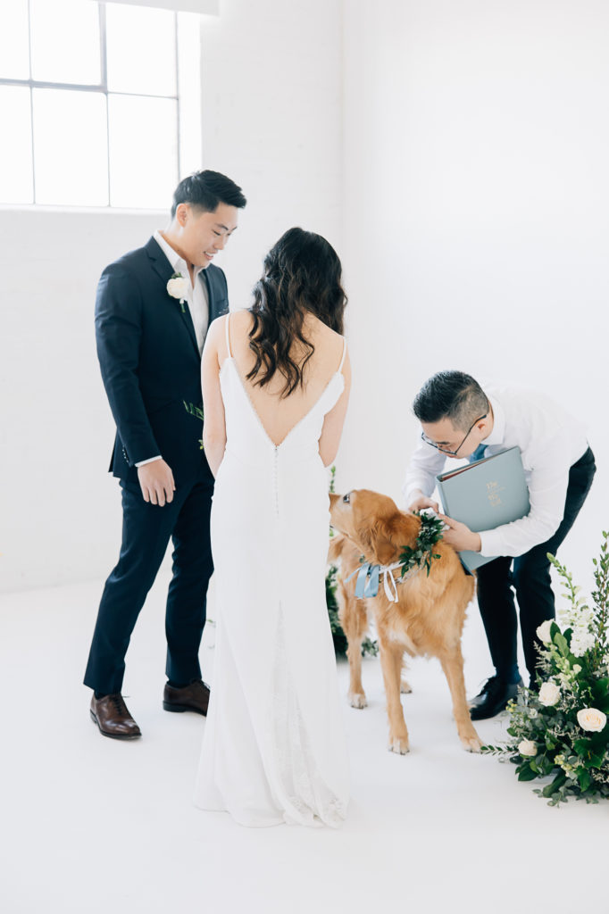 Ring Bearer dog brings the ring up to the bride and groom. #KaileeMatsumuraPhotography #KaileeMatsumuraWeddings #Studiowedding #UtahWedding #SLCwedding #SLCweddingphotographer
#WeddingphotographerinSLC