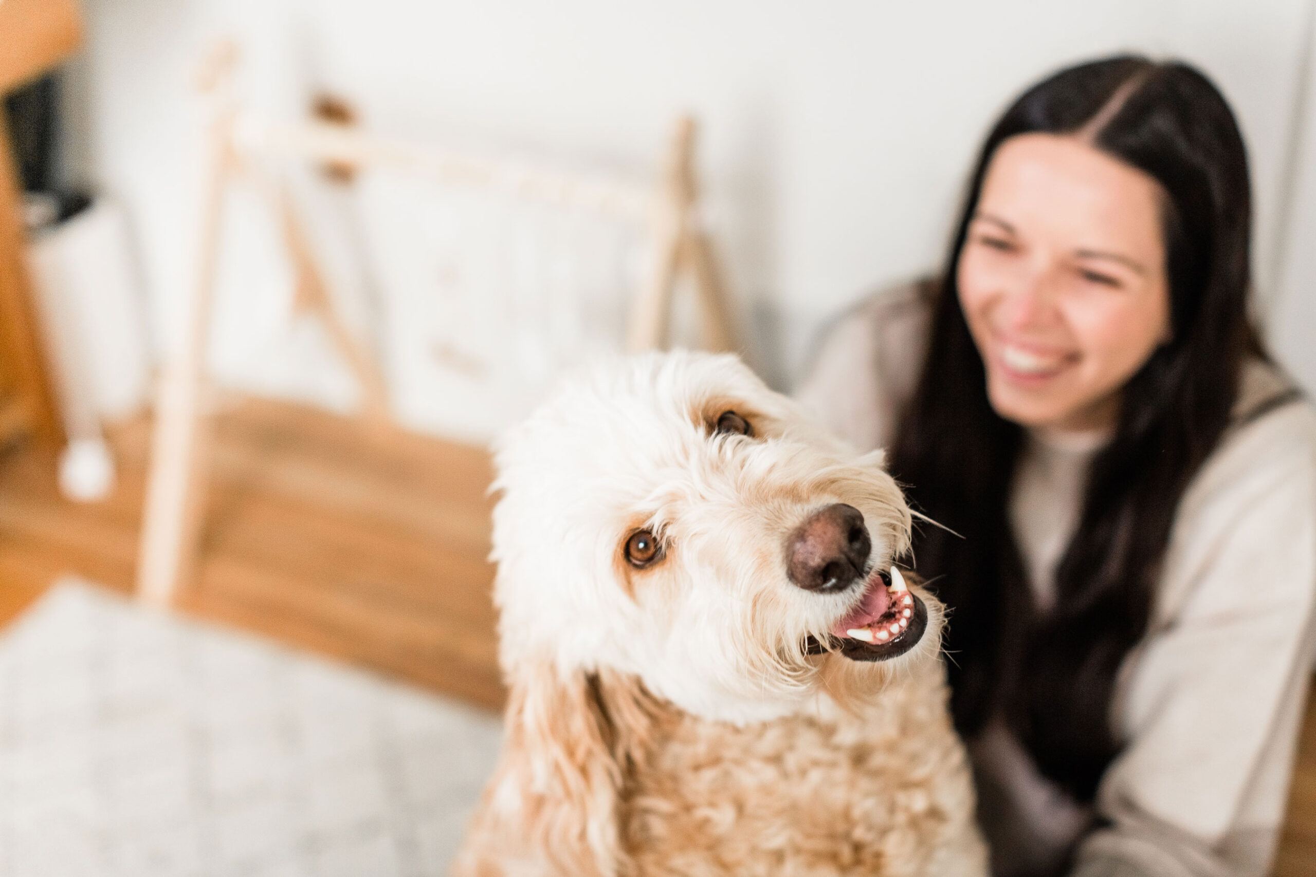 Kailee Matsumura captures a candid shot of a dog with his mama during a photo session in Germantown, TN by family photographer, Kailee Matsumura. Candid shots Pet family photography #familypetphotography  #kaileematsumuraphotography #petsofinstagram #tennesseefamilyphotographer #mississippiphotographer  