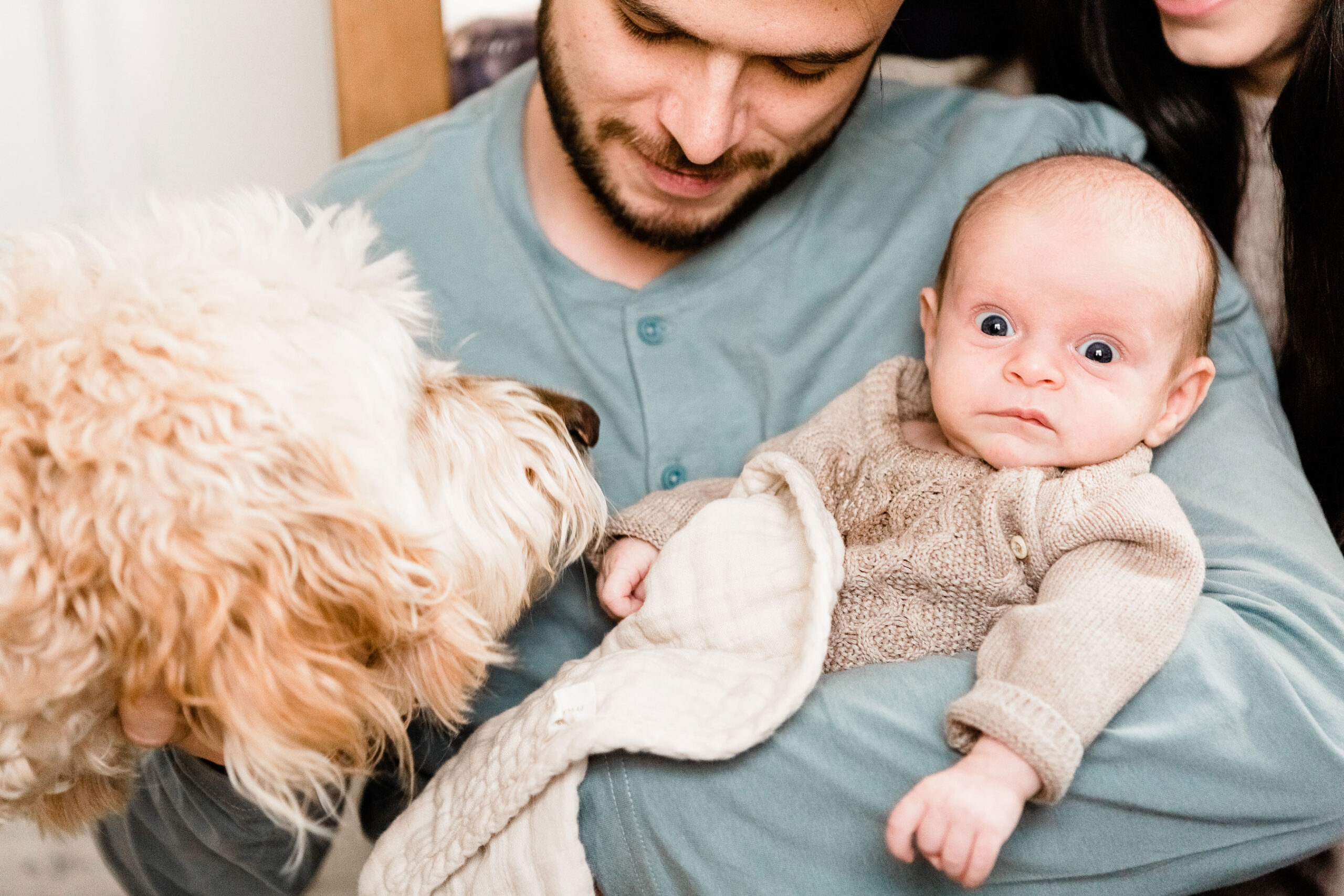 Kailee Matsumura, a Memphis based family photographer shares tips how to include your beloved fur baby into your family photo session. Bartlett family pet photographer fur babies newborn family photographer #petsinfamilyphotos #kaileematsumuraphotography #tennesseefamilyphotographer