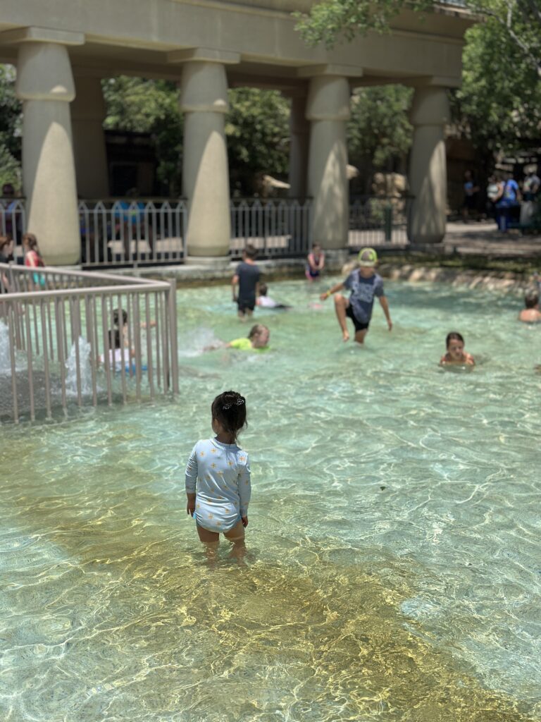 Memphis Zoo. Kids activities in Memphis. Free swimming. 