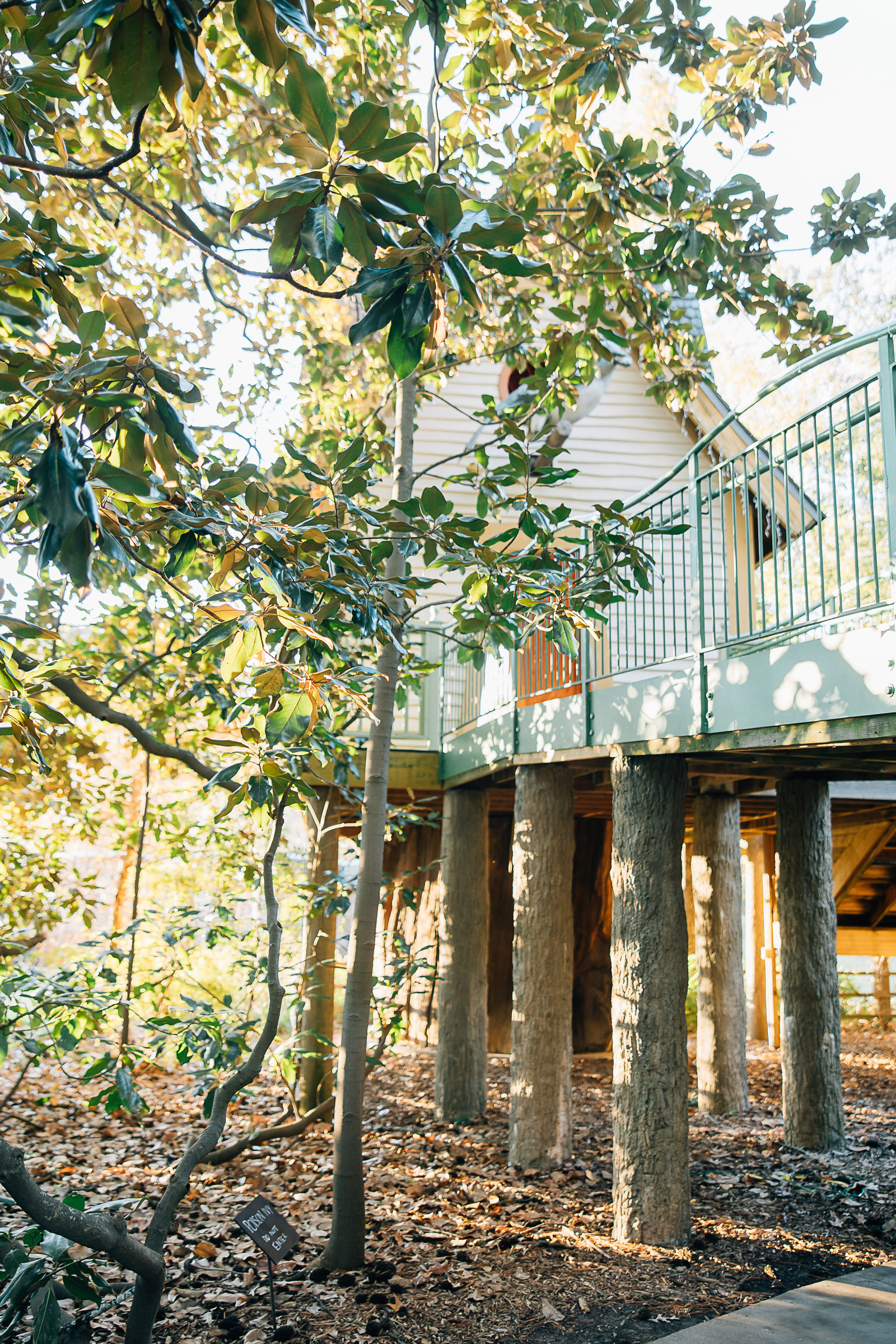 Memphis Botanical Garden. Treehouse in the Big Backyard.