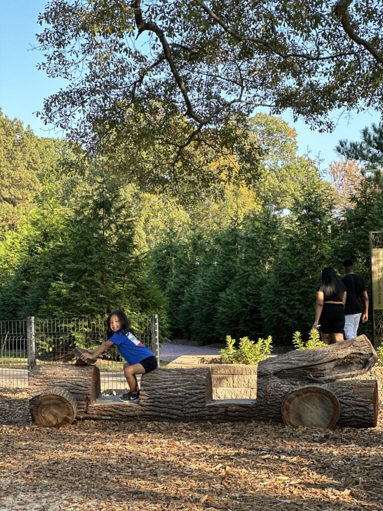 Little girl riding in a car made out of logs in the Memphis Botanical Garden. 