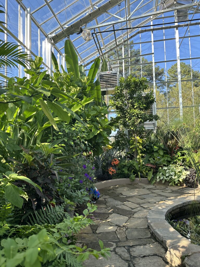 Greenhouse in Memphis. Memphis Botanical Gardens. 